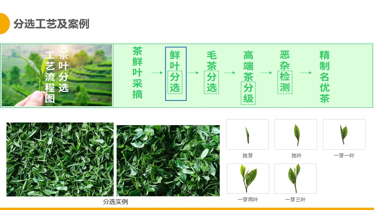 http://m.maiyaji.com/Upload/ueditor/1681280335278777.jpg