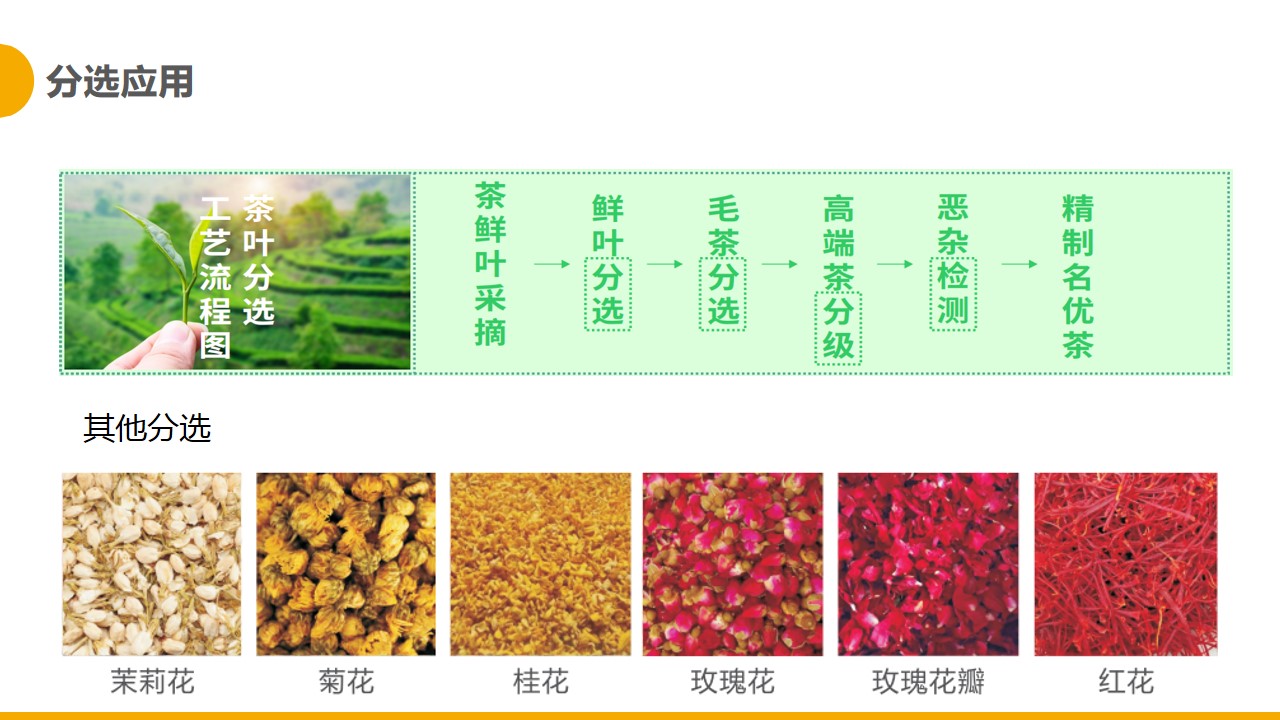http://m.maiyaji.com/Upload/ueditor/1681365602994585.jpg